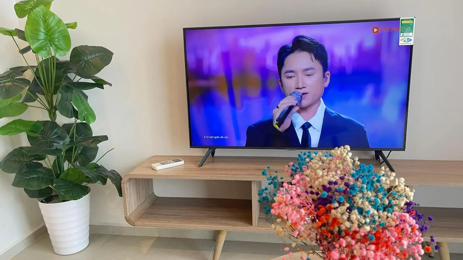 Sophia Homestay - The Song Vung Tau Apartment